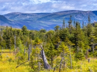 Park Narodowy Gros Morne